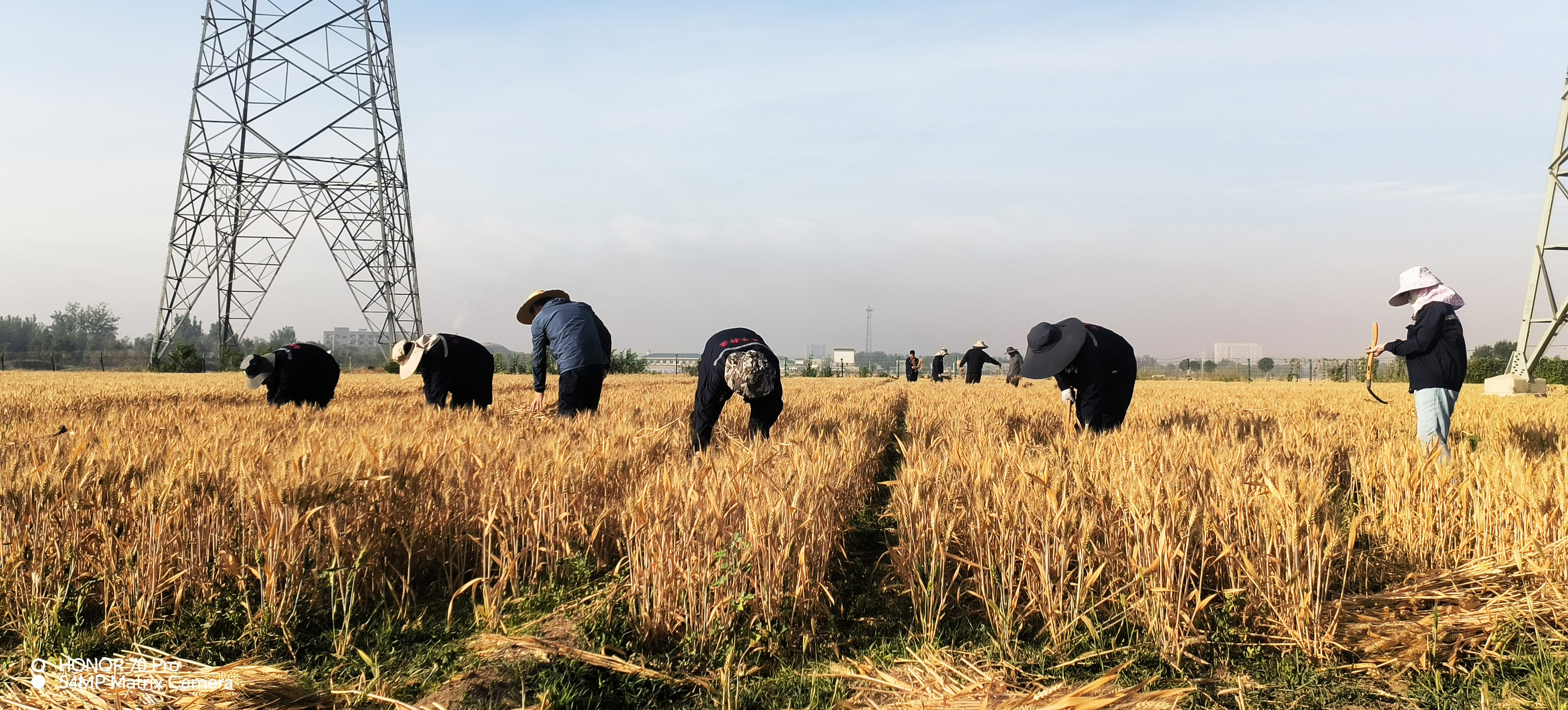 1720062033327723WtYl.jpg 1720062033327723WtYl.jpg