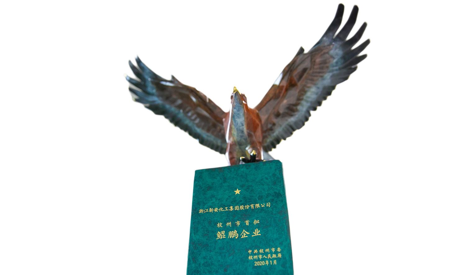 15857261069977439uoZ.jpg 15857261069977439uoZ.jpg