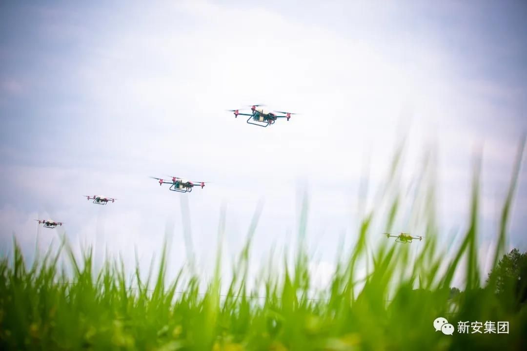 1602054389792111QhFN.jpg 1602054389792111QhFN.jpg